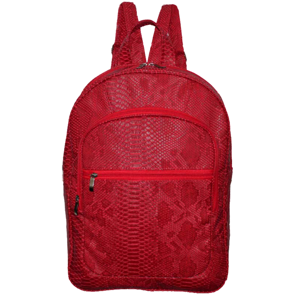 Mochila Notebook Rafi 2005