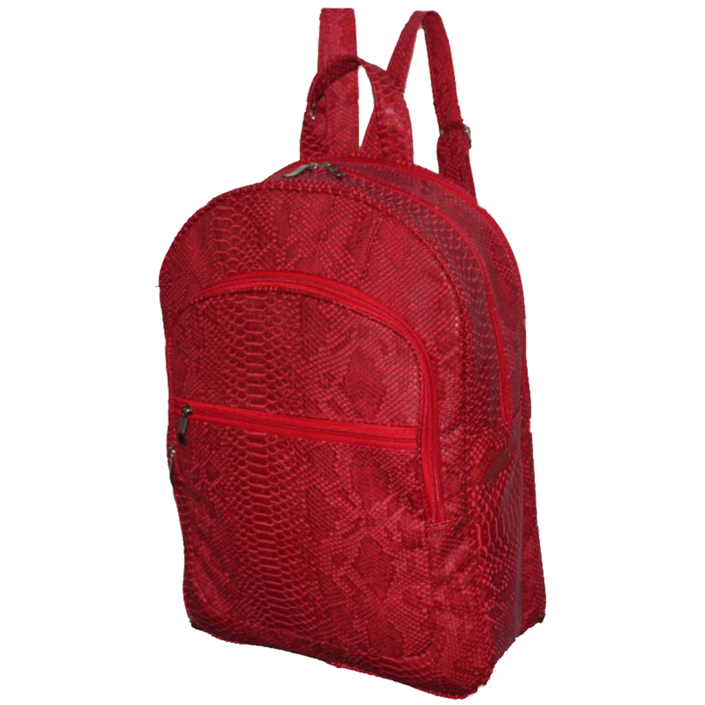 Mochila Notebook Rafi 2005